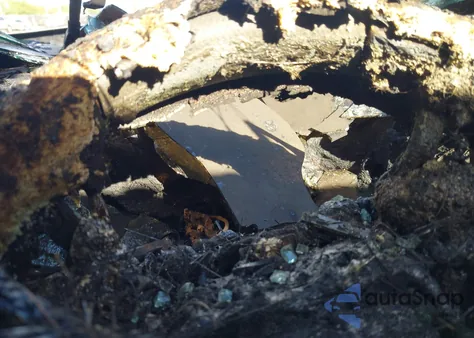 2019 Toyota Tacoma Trd Off Road из США, поврежденный, VIN 3TMCZ5AN1KM211394